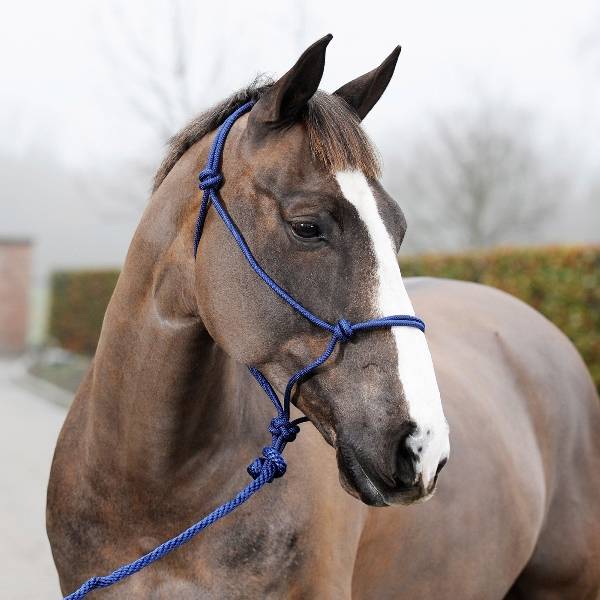 5-591635 Horze Knotted Horse Rope Halter Lead sku 5-591635