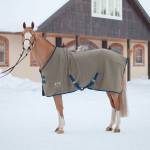 B Vertigo Horse Blankets, Sheets & Coolers