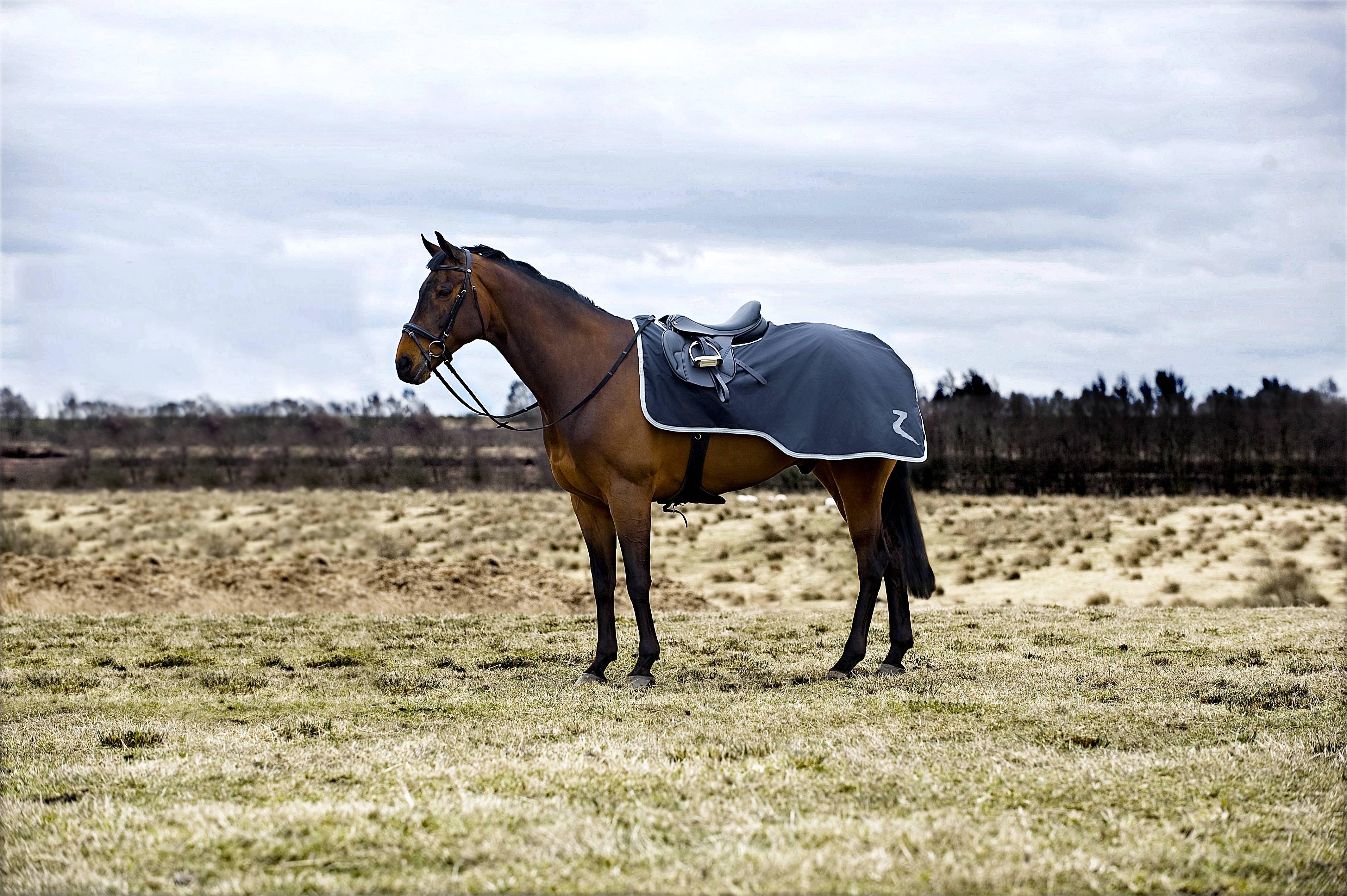 5-591833 Horze ProTrek Riding Quarter Rug sku 5-591833