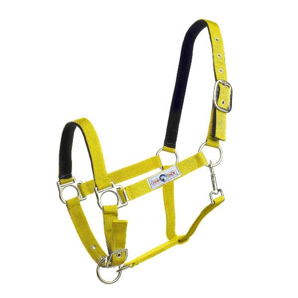 5-595323 Finntack Padded Nylon Halter sku 5-595323