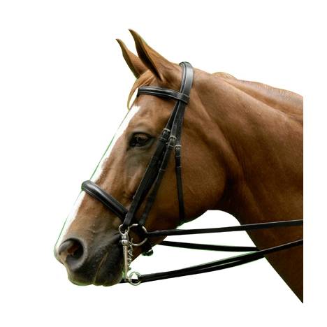 Exselle Elite Double Bridle