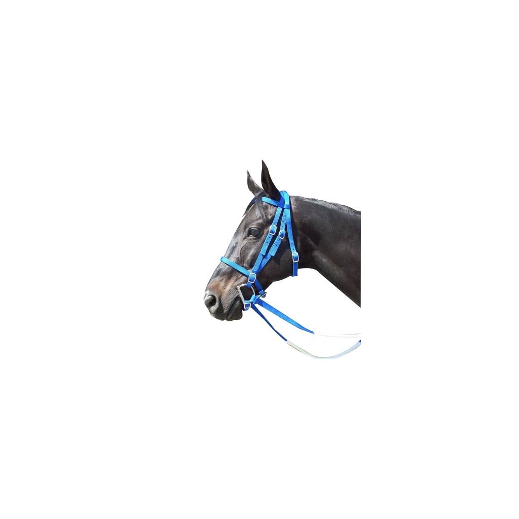 Racing Bridle - Nylon