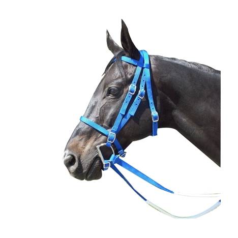 Racing Bridle - Nylon