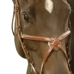 exselle Bridle Nosebands & Browbands