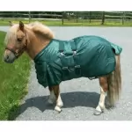 Intrepid International Horse Blankets, Sheets & Coolers