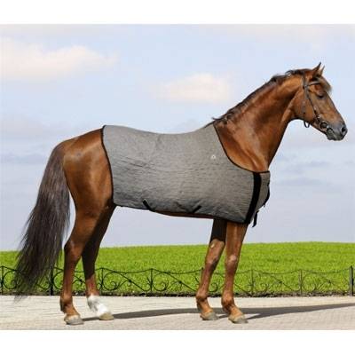 Techniche HyperKewl Evaporative Horse Cooling Blanket