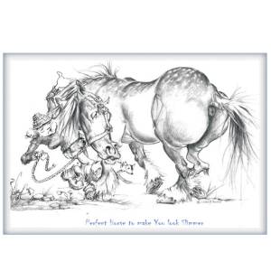 Perfect Horse To Make You Look Slimmer Blank Greeting Cards - 6 Pack