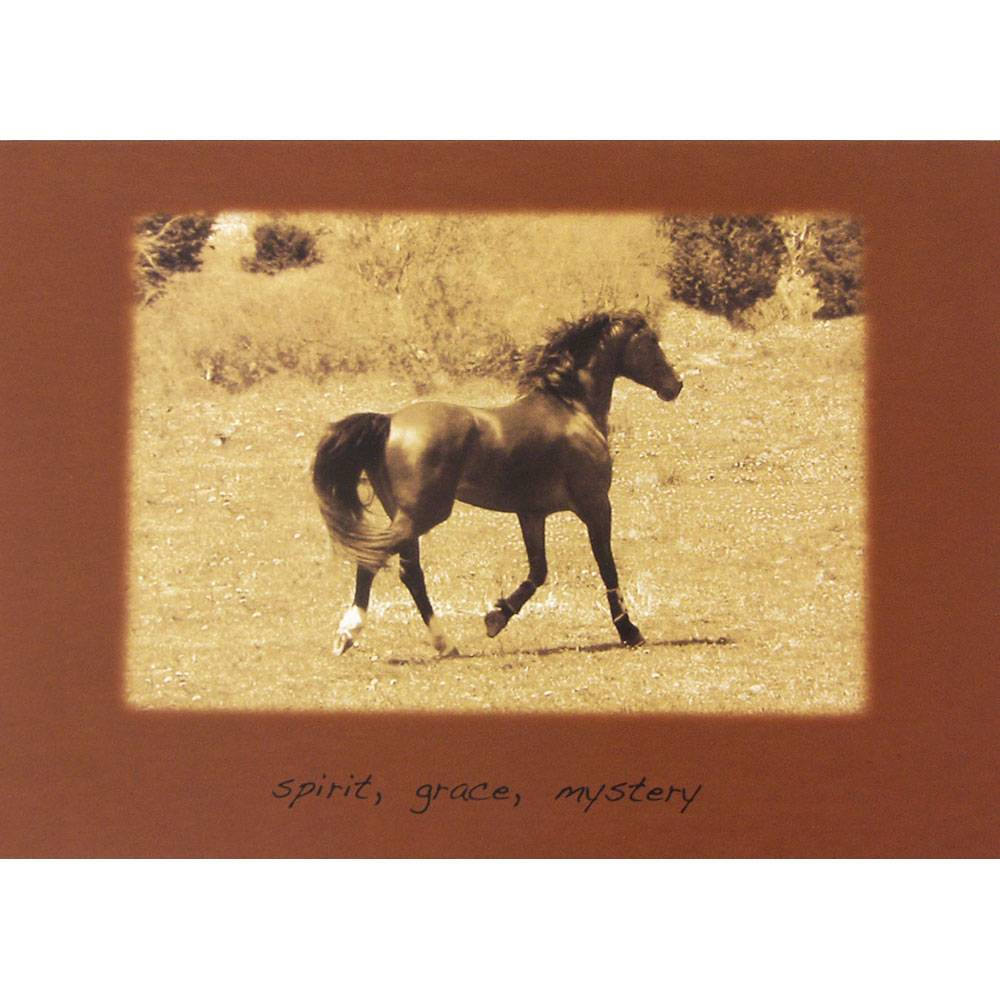 Sympathy (Horse) Spirit, Grace, Mystery Blank Greeting Cards - 6 Pack