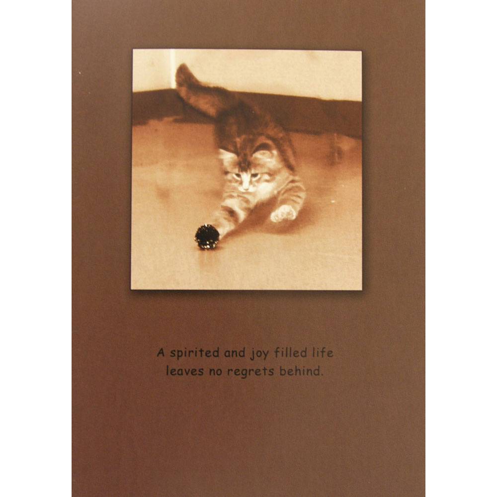 Sympathy (Cat) A Spirited & Joy Filled Life. Blank Greeting Cards - 6 Pack