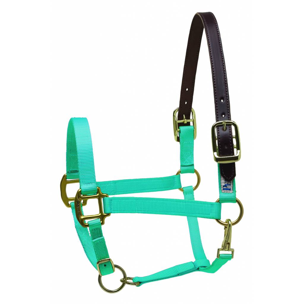 Perri's Premium Nylon Safety Halter