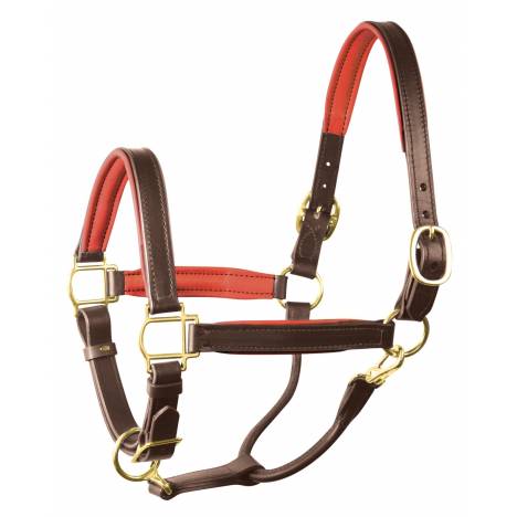 Perri's Soft Padded Leather Replacement Crown Piece for Halter