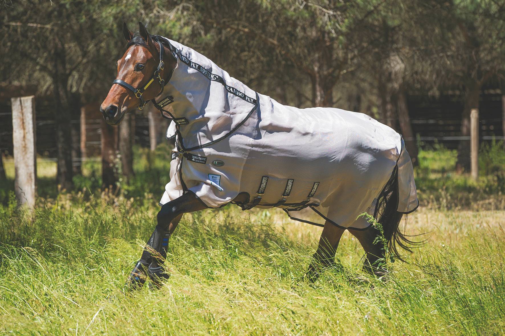 Horseware Ireland Amigo Bug Buster Vamoose Fly Sheet Protects from Insects