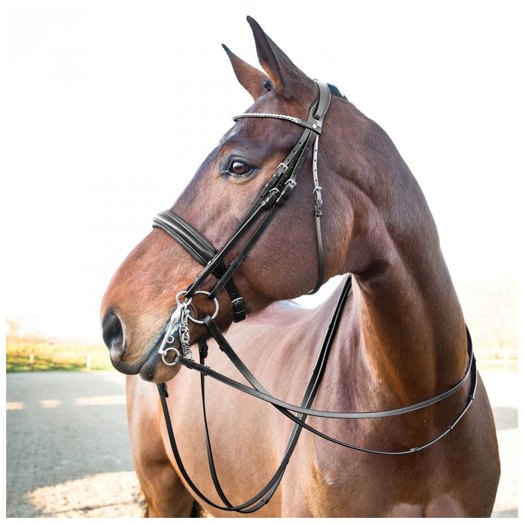 Horze Vienna Bridle