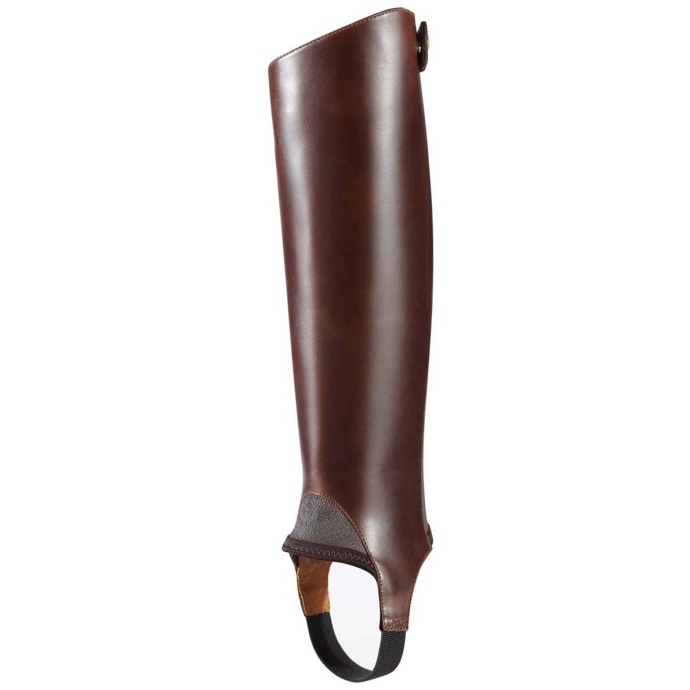 ariat covington chaps