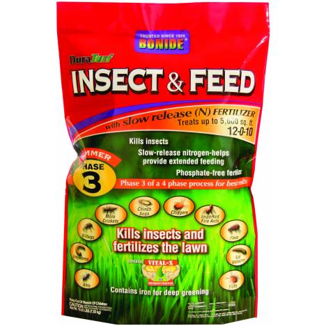 Insect & Feed