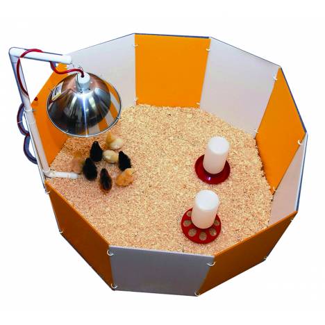 Farm Innovators Baby Chick Starter Home