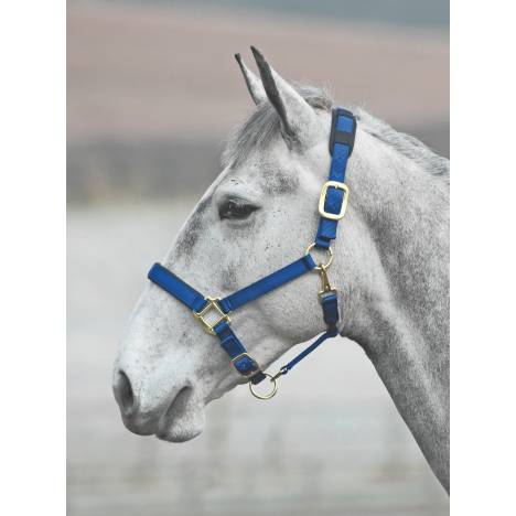 Shires Topaz Nylon Halter