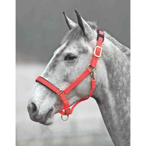 Shires Topaz Nylon Halter