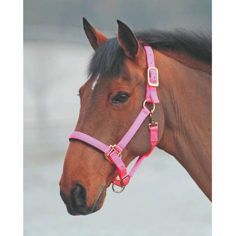 Shires Topaz Nylon Halter