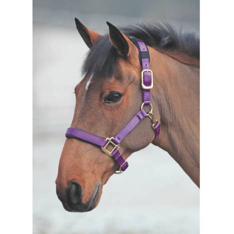 Shires Topaz Nylon Halter