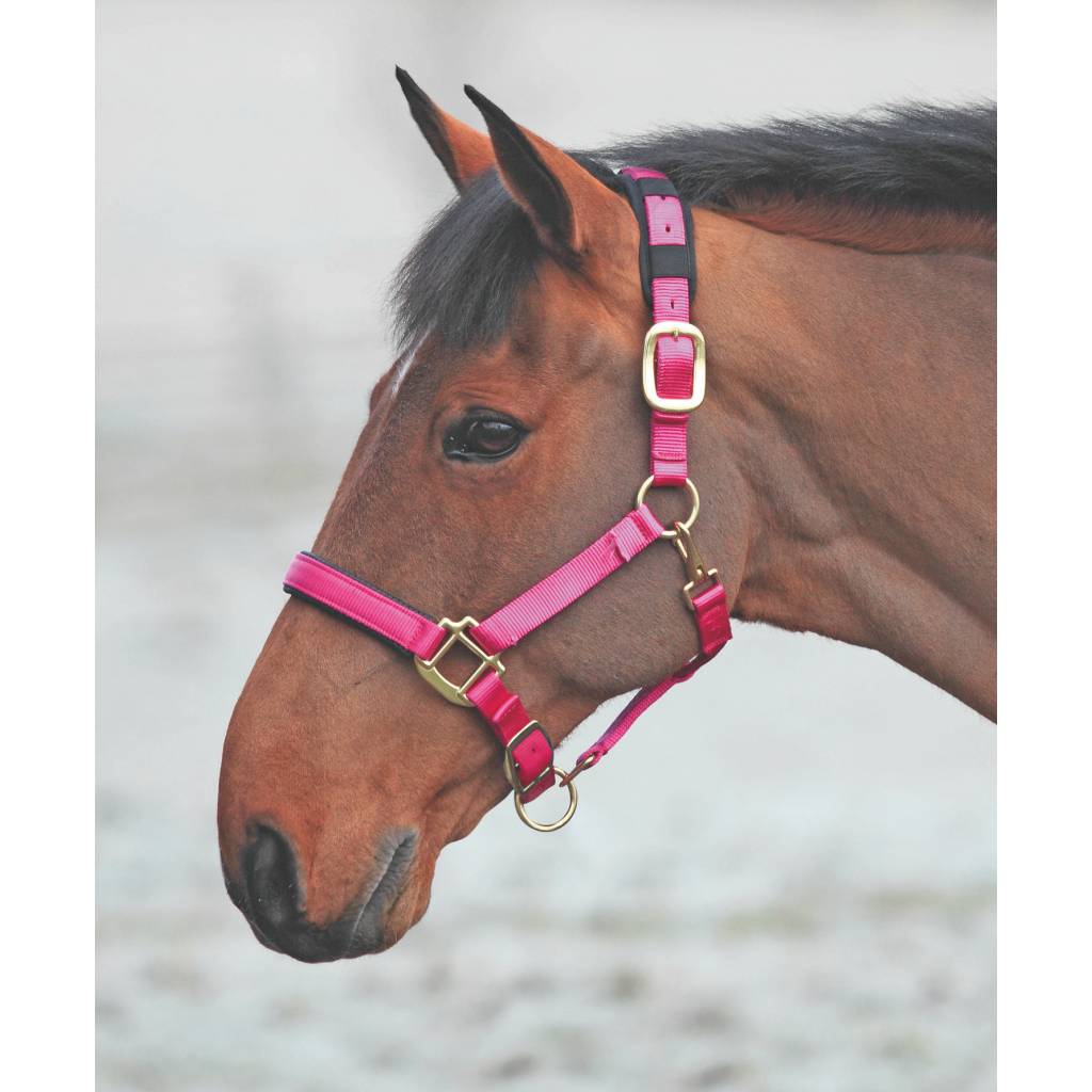 Shires Topaz Nylon Halter