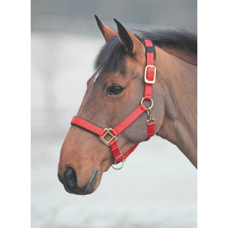 Shires Topaz Nylon Halter