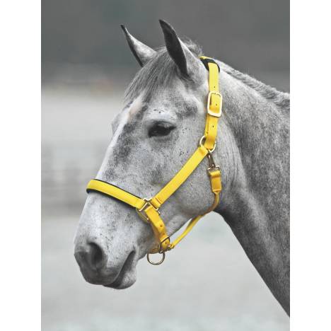 Shires Topaz Nylon Halter