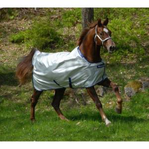 Bucas Power Light Weight Horse Turnout Blanket