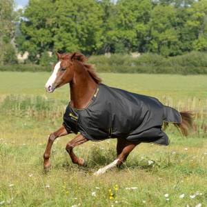 Bucas Irish Lightweight Horse Turnout Blanket
