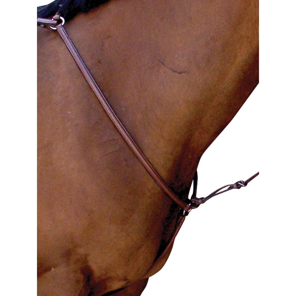 Toklat Passport Plain Raised Breastplate