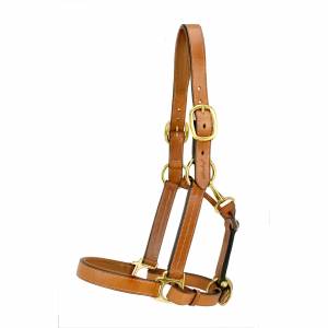 Silverleaf Padded Halter with Brass Fittings
