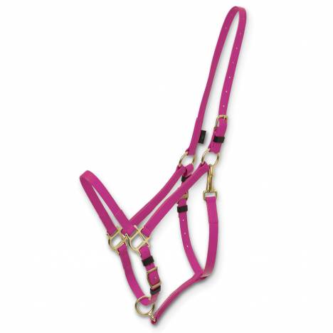 Zilco Deluxe Endurance Bridle Halter Piece