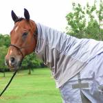 Cashel Horse Blankets, Sheets & Coolers
