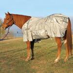 Cashel Horse Sheets