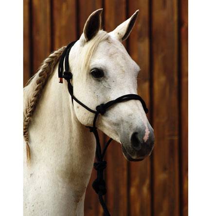 5-644964 Classic Equine Work Halter with Lead sku 5-644964