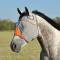 Cashel Crusader Fly Mask - Standard with Ears