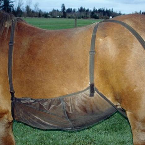 Cashel Quiet Ride Belly Guard