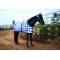 Professionals Choice Magnetic Blanket