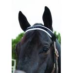 Professionals Choice Equine Magnetic or Alternative Therapy