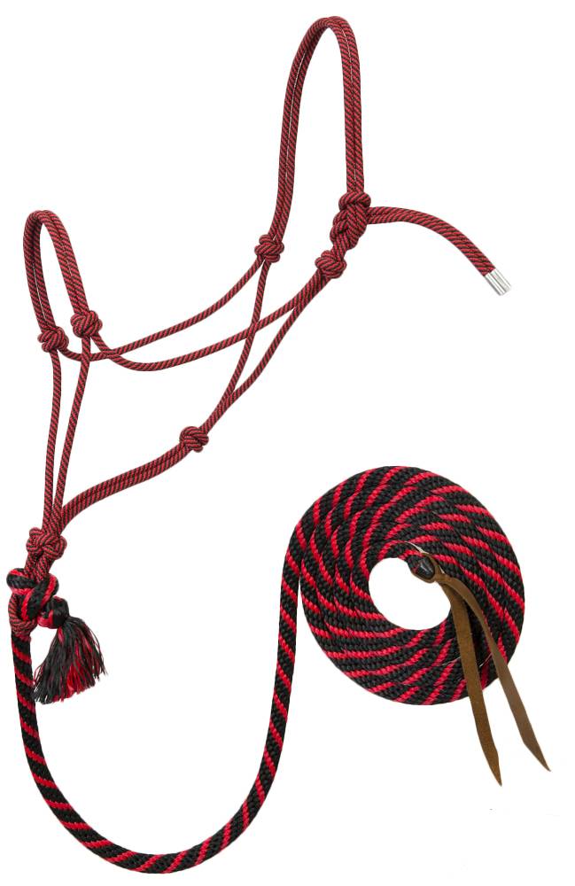 Weaver Silvertip #95 Rope Halter with  10 Lead