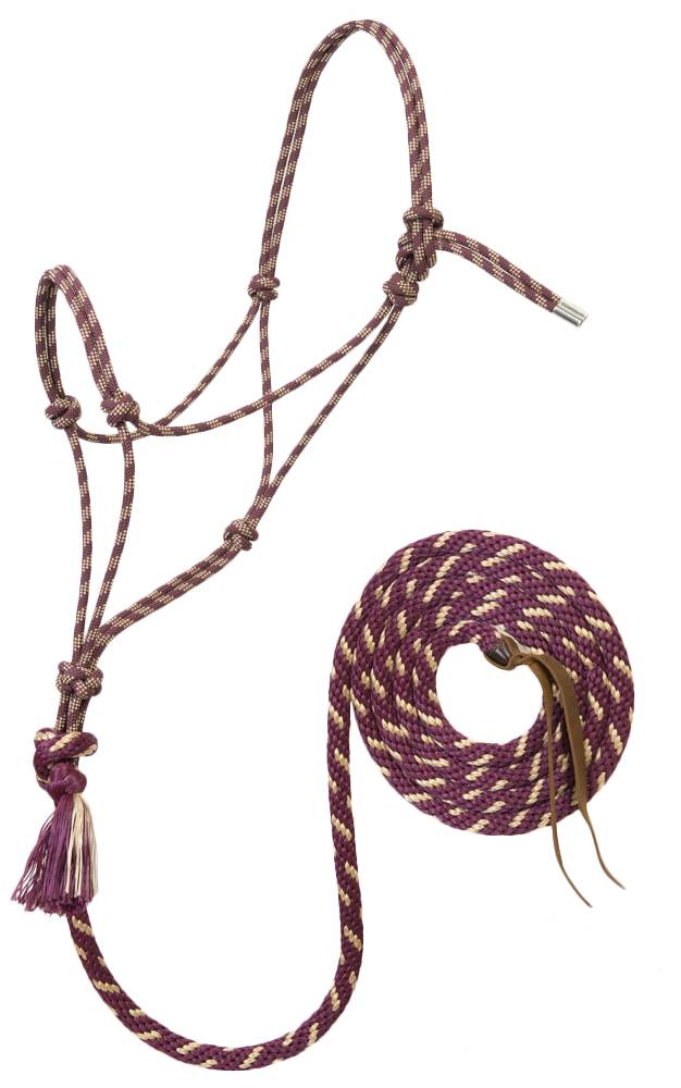 Weaver Silvertip #95 Rope Halter with  10 Lead