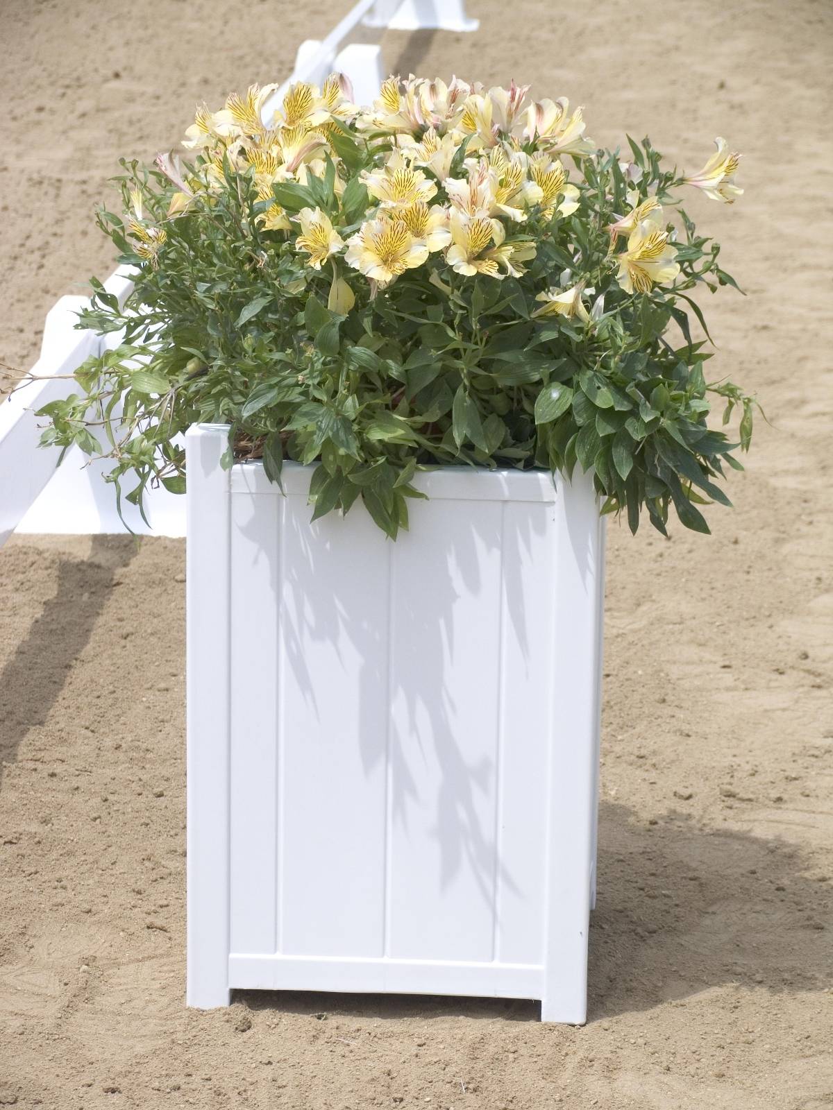 Burlingham Sports Arena Flower Box