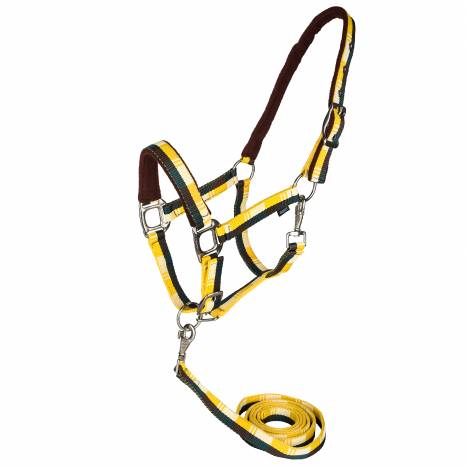 Gatsby Terra Fleece Padded Nylon Halter with Matching Lead