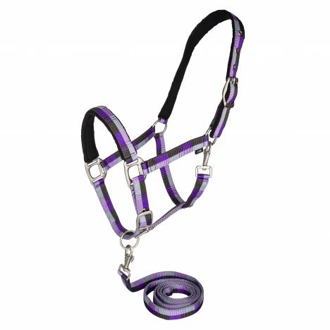 Gatsby Terra Fleece Padded Nylon Halter with Matching Lead