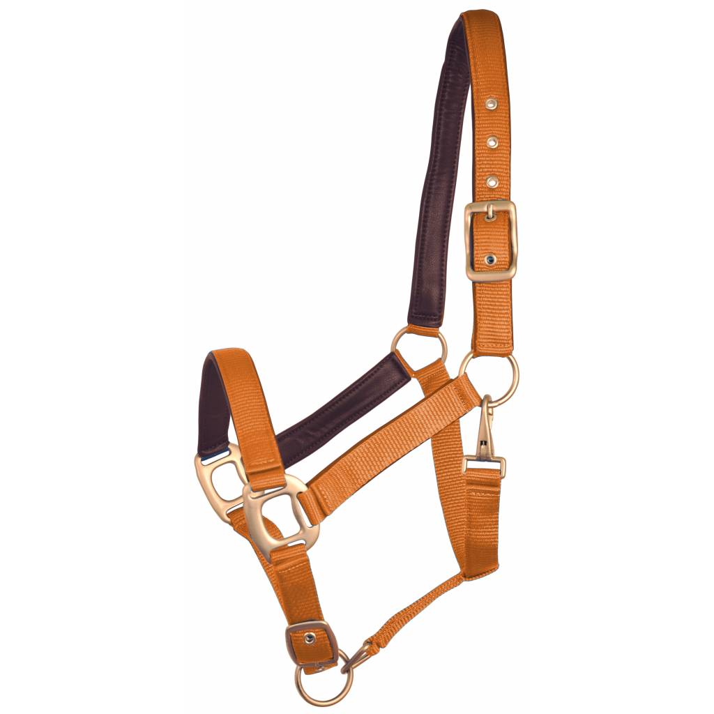 Gatsby Leather Padded Adjustable Nylon Halter