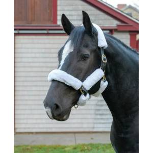 Shires Supafleece Halter Set