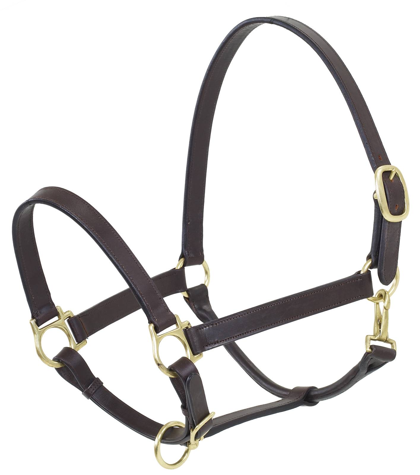 Camelot Draft Stable Halter