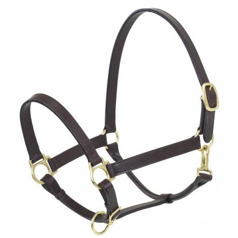 Camelot Draft Stable Halter