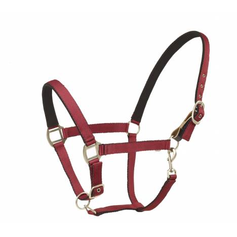 Centaur Cushion Web Breakaway Halter