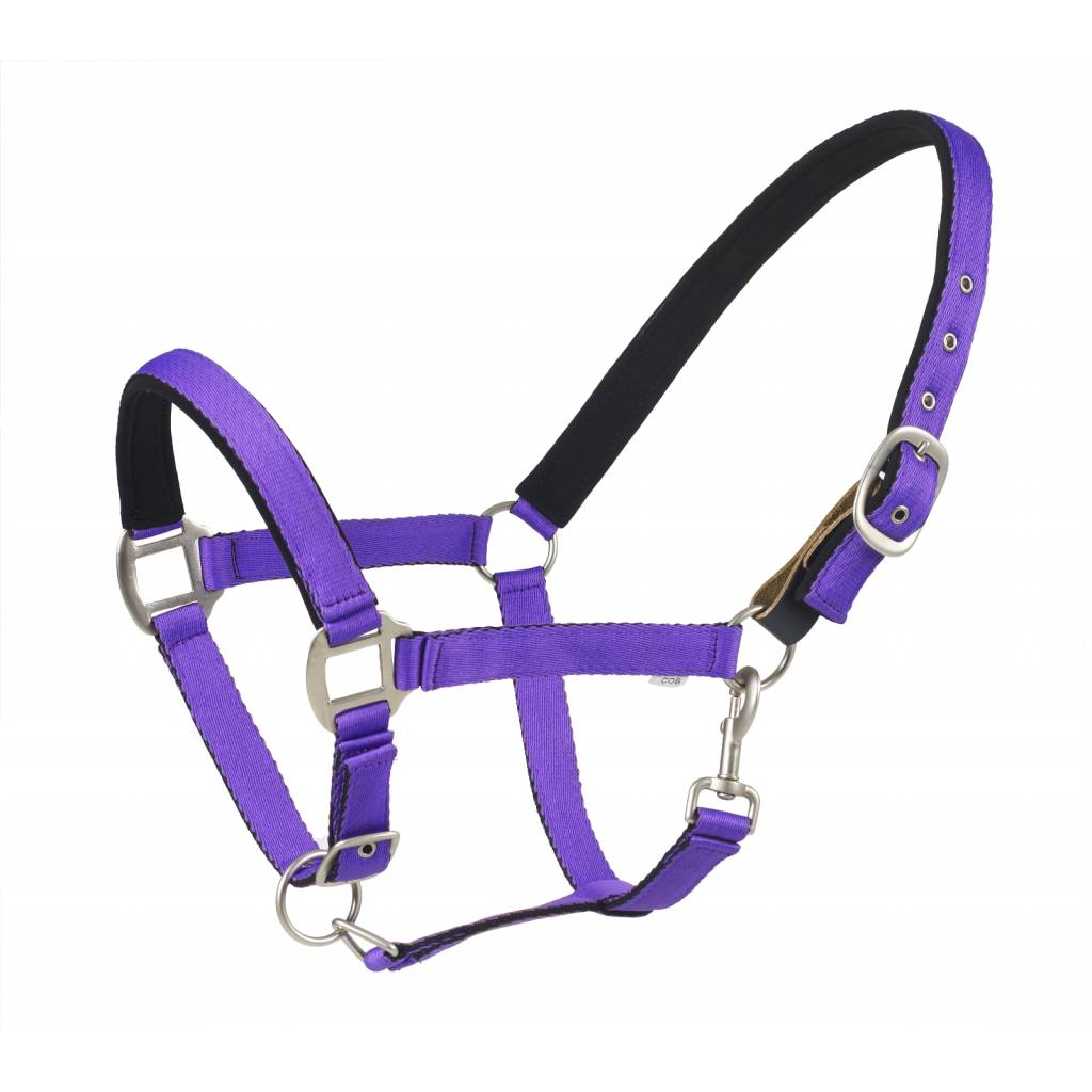 Centaur Cushion Web Breakaway Halter